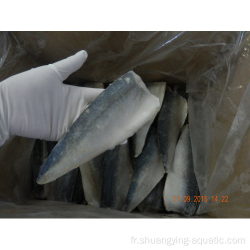 Exporter le filet de poisson de maquereau congelé naturel pour grosse